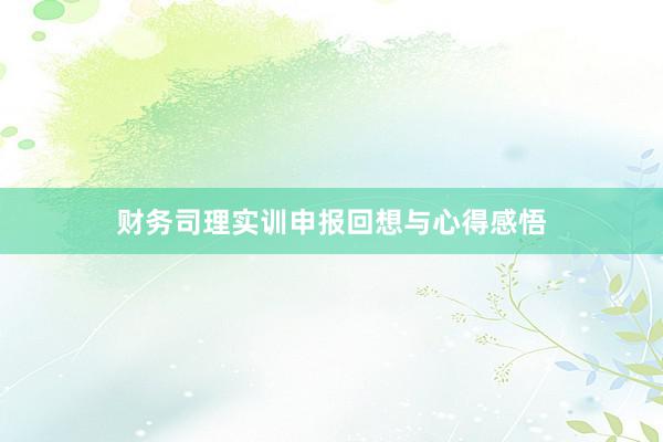 财务司理实训申报回想与心得感悟