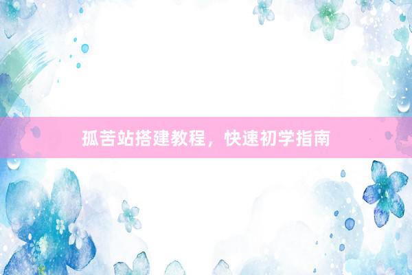 孤苦站搭建教程，快速初学指南