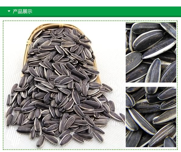 直销原味363成品散装生葵花籽炒货厂家批发